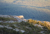 2011-09-16_0036
