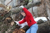 2011-11-26_0085