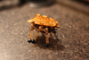2011-12-25_0001