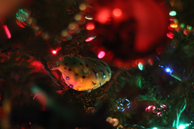 2011-12-25_0012