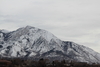 2012-02-22_0010