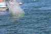 2012-05-27_0254