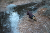 2012-11-22_0011