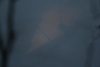 2012-11-23_0030