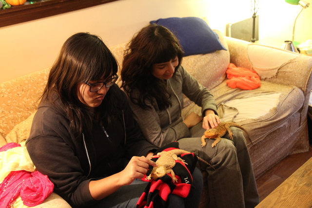2013-11-02_0028
