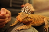 2013-11-02_0031
